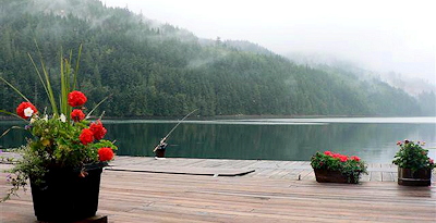 Wilderness habitat.