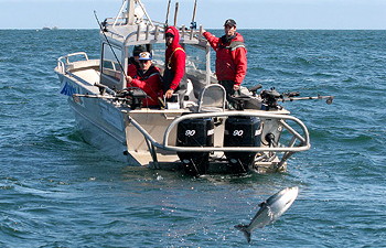 Guided BC Salmon Fishing Charters